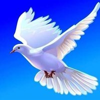 3 Don'ts of Deliverance Ministry